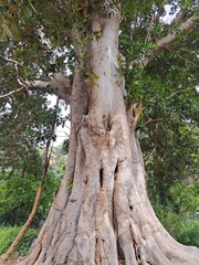 Sevilla, Andalucia, España