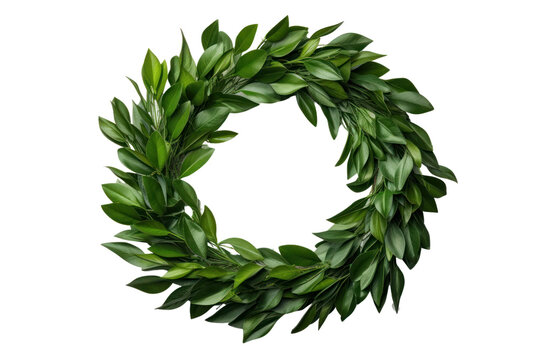 leaf wreath, laurel wreath isolated on transparent and white background.PNG image.	