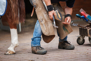 Farrier working in stable. Blacksmith nailing horseshoe to horse hoof with a hammer. Traditional...