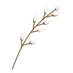 pussy willow twig isolated on white. spring element for postcard, banner, instagram, pattern, background, congratulation, in a simple flat style © Ekaterina