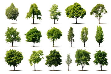 Set of green trees isolated on whiteisolated on transparent and white background.PNG image.	