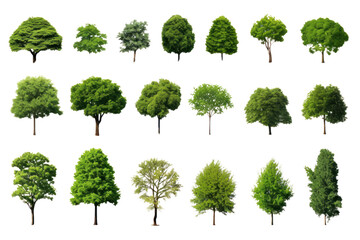 Set of green trees isolated on whiteisolated on transparent and white background.PNG image.	