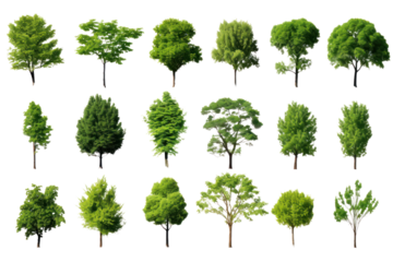 Set of green trees isolated on whiteisolated on transparent and white background.PNG image.