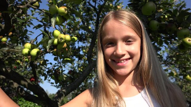 Girl by Apple Tree, Child in Orchard, Farmer Kid in Garden, Fruits in Tree, Kid at Village at Countryside