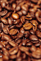 coffee beans background