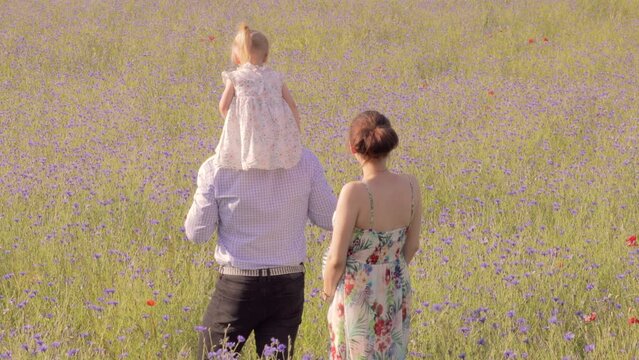 Young family strolling happily with baby girl on shoulders in a field of flowers