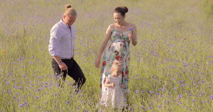 Pregnant mum and modern dad walking with cute little kid in a rural meadow in the daytime