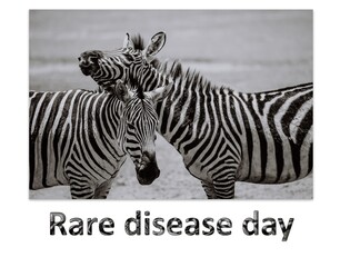 Rare Disease Day, Zebra, February