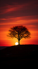 Embracing the Twilight: An Awe-Inspiring Exploration of A Solitary Tree Against a Vibrant Sunset Backdrop