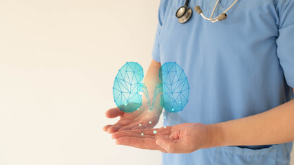 World kidney day. Nephrologist doctor check up kidney organ hologram. Medical technology for diagnose kidney disease. Renal transplant, organ donation concept. Nephrology.