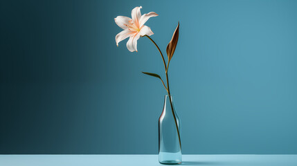 Petite fleur dans un vase, arrière-plan coloré, bleu. Nature, plante, fleurs. Espace vide de composition, fond pour conception et création graphique.