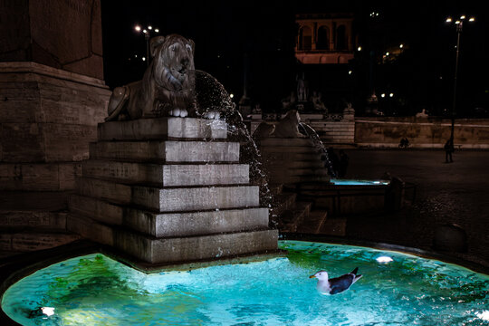 Piazza del Poppolo at night, Rome, Italy