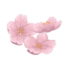 Illustration of cherry blossom 