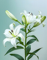 Fototapeta premium Beautiful bouquet of flowers in bright colors for studio and wall art, peony flowers and lilacs and roses