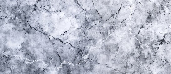 Obraz premium A detailed shot showcasing the intricate pattern of freezing frost on white marble, creating a monochrome photography effect with a touch of snow and twig elements.