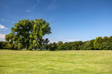 Park of Lake Oejendorf in Hamburg