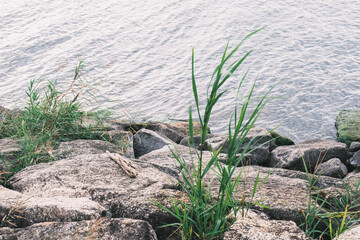 A port located in the northern part of Lake Biwa, famous for being one of the largest lakes in Japan【Nagahama Port】