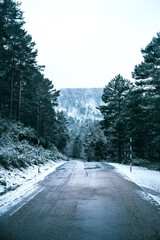 Snowy mountain road in winter with trees on the sides
