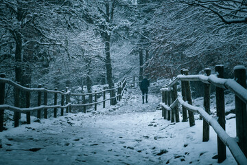 Man with his back turned walking along a path in the middle of a snowfall