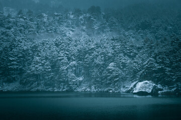 Mountain lake with a forest on its shore covered with snow