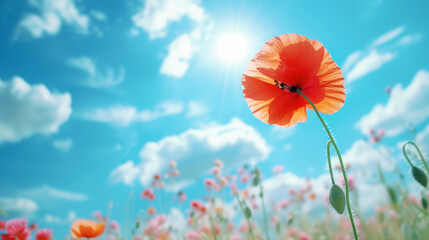 Close up of red poppy flower against blue sky background. Spring landscape concept. Generative AI - obrazy, fototapety, plakaty