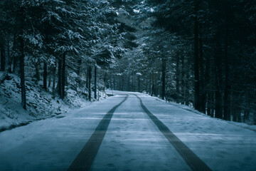 Road through a snowy forest with car wheel marks in the snow