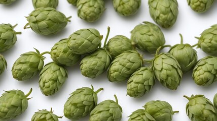 Obraz premium Beer Hops Isolated On White Background