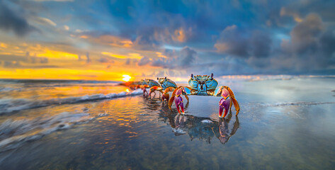 sunset on the beach, A line of colorful crabs scuttle across the beach at sunrise, their shells reflecting the morning light photography - obrazy, fototapety, plakaty