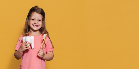 A happy girl holds a toothbrush and a plastic tooth in her hands. An isolated panoramic shot. A place for your text. prevention of childhood caries.