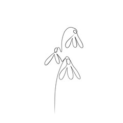 One continuous drawing line. Printed decorative poster with overall snowdrop flower