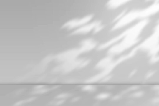 Fototapeta 白黒の木漏れ日が射す部屋の背景イラスト