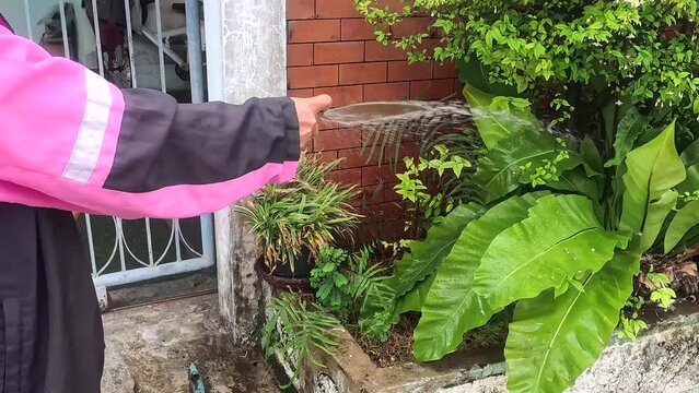 in front of her house Watering the plants using a hose pipe.