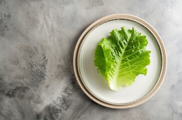 Lettuce leaf on ceramic plate