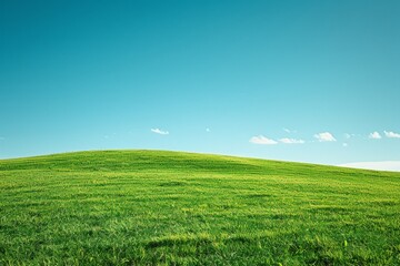 Grassy Hill With Blue Sky