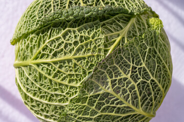 Obraz premium Macro picture of a fresh vegetable forming a natural texture. Close-up view of Savoy cabbage green leaves, Green vegetable backgound, Copy space, Selective focus.