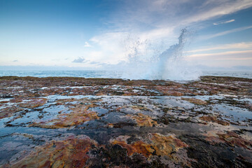 The Wild Coast, known also as the Transkei, is a 250 Kilometre long stretch of rugged and unspoiled Coastline that stretches North of East London along sweeping Bays, footprint-free Beaches, lazy Lago