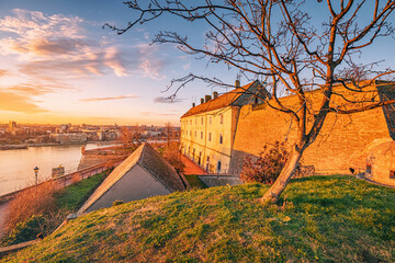 grandeur of Petrovaradin Palace in Novi Sad, a historic fortress adorned with vibrant gardens, attracting tourists - obrazy, fototapety, plakaty
