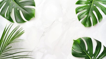 Stylish flat lay of green Monstera and palm leaves arranged on a white marble background