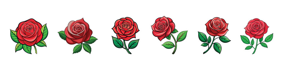 Red roses hand drawn color set., Rose vector icon, Blooming Red Flower Rose. Realistic vector elements set of red roses