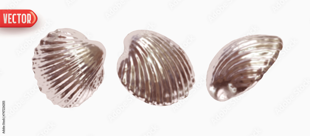 Poster collection silver shell scallop. set of scallop seashell closed shapes of objects realistic 3d desig