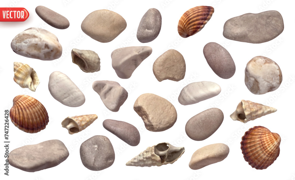 Poster collection of sea stones and shell and scallop. set of scallop seashell closed shapes of objects rea