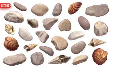 Collection of sea stones and shell and scallop. Set of Scallop seashell closed shapes of objects realistic 3d design. Design elements isolated on white background. Vector illustration