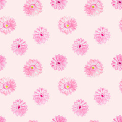 Fototapeta na wymiar Watercolor hand drawn flower pattern, background with gerbera pattern , pink ,fabric pattern, gerbera, pink flowers, textile design , bloom, watercolor, floral illustrations, botanical, blossom