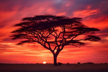 Papier Peint photo Rouge Transcendent Beauty of a Lone Acacia Tree Under the Enchanting Dusk Sky