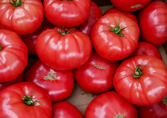 Red tomatoes on the market. Fresh and juicy tomatoes.