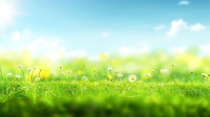 Vibrant spring flower meadow under blue sky with blurred background for text copy space