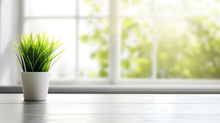 A vibrant green indoor plant in a sleek white pot placed on a wooden table against a bright window.