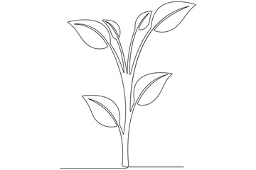 Continuous single line art drawing of plant can be for plants, agriculture, seeds outline vector