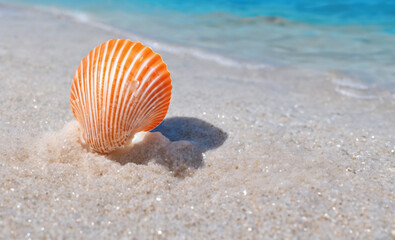 Fototapeta na wymiar Seashell on white sand beach with turquoise water background