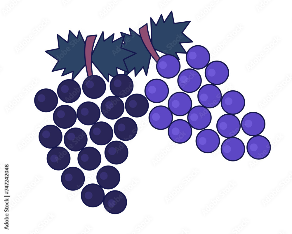 Poster autumn bunch of grapes 2d linear cartoon object. fall harvest food isolated line vector element whit